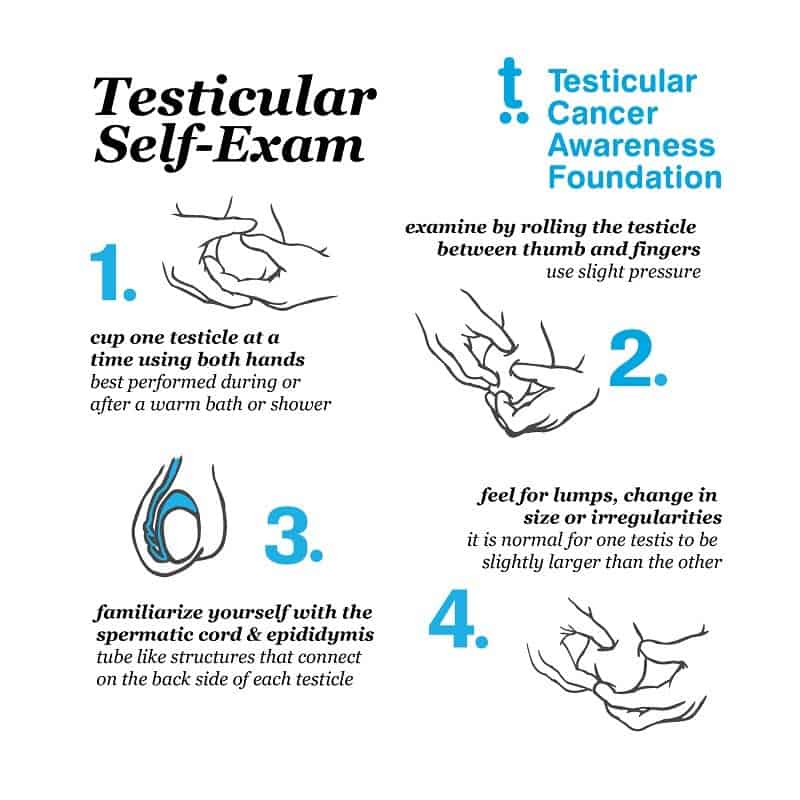 Testicular Self-Exam